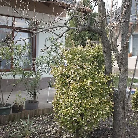 Csendes Apartman * Tata