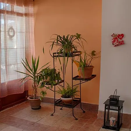 Csendes Apartman Apartment Tata